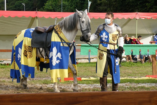 的身体接触 的身体接触