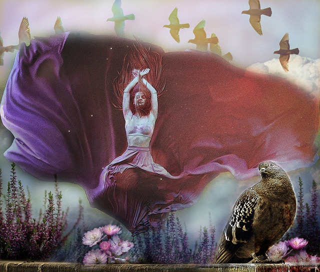 能否在雄鹿 能否在雄鹿