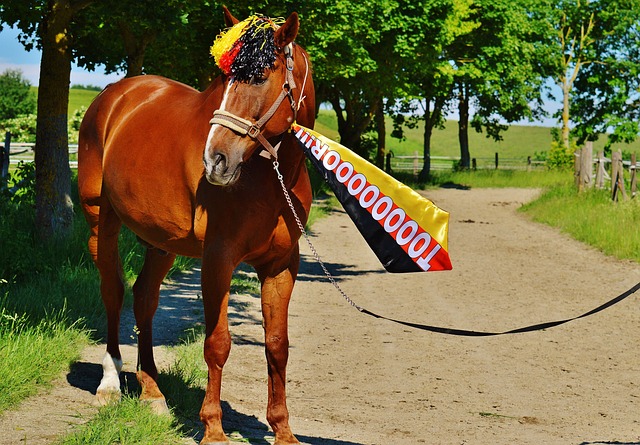 姆这样具有 姆这样具有