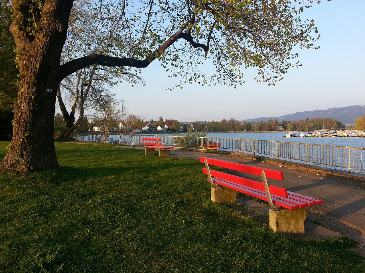 而这场比赛 而这场比赛