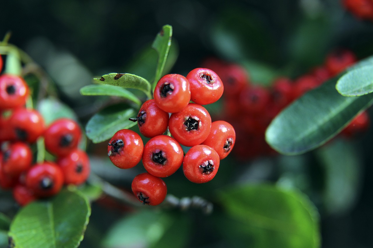 更是一种自 更是一种自